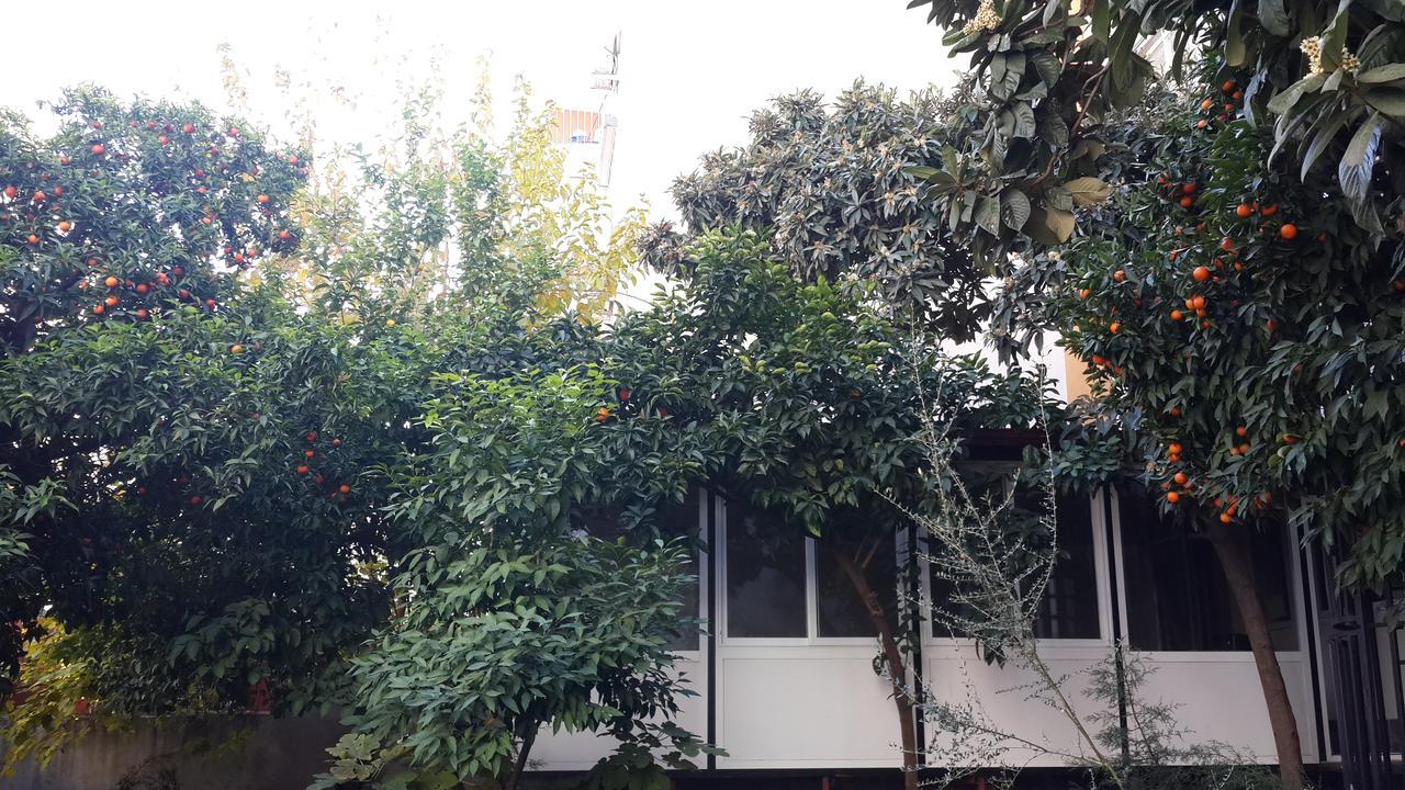 Uyar Palace Antalya Zewnętrze zdjęcie